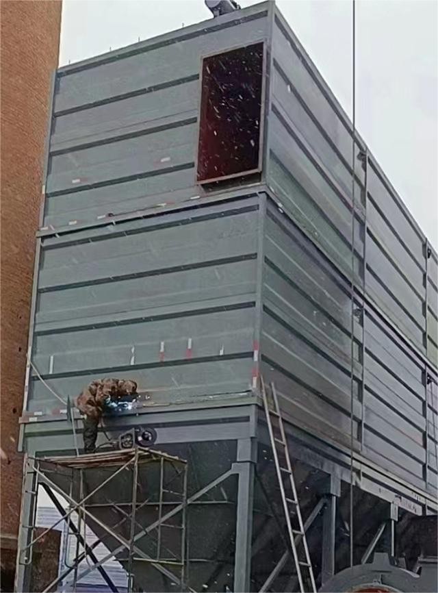 蜜桃视频直播